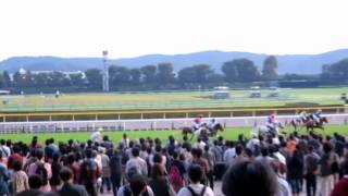 大人気のポニー競馬「ジョッキーベイビーズ」