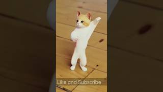 cat dance video #shortsfeed  #short  #shorts  #viralshort #catdance