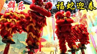 2025 迎新年舞狮 - 之 - 双溪威群乐体育会 @ 吉隆坡 谷中城 / 2025 Pre-CNY Khuan Loke Acrobatic Lion Dance @ Mid Valley