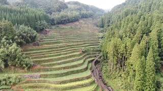 福岡県八女市 星野村の棚田