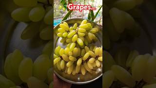 😋Green grapes...👌#benifits# #Sweet# #D.rmanthena# #viral# #subscribe#