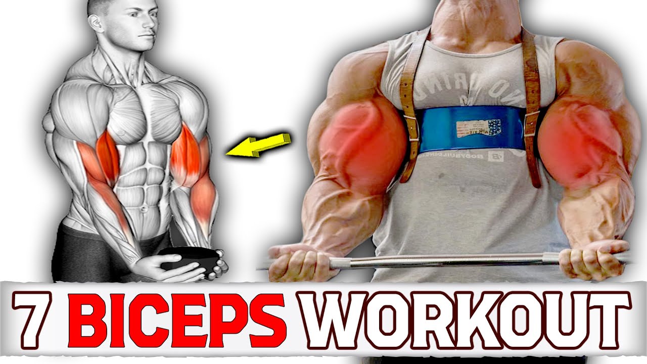 7 Effective Exercises To Build Big Biceps Youtube