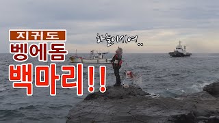 지귀도 방석덕 벵에돔 100마리와 처절한 전투...OTL