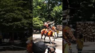 第10回府中流鏑馬　大國魂神社　2024/6/16