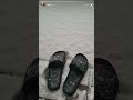 211218 rm instagram story 🐨 ah it’s cold *yawns*