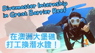 How to do a diving internship in Australia 如何在澳洲打工換證、找到潛水工作!!【澳打大小事 EP01】打工度假