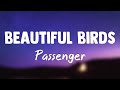 Beautiful Birds (Feat. Birdy) - Passenger[Letra]🌿