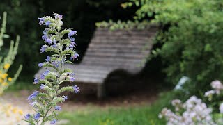 Mein Lieblingsplatz: Der Biotopgarten im Informationszentrum Naturpark Altmühltal Eichstätt