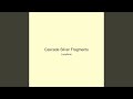 Cascade Silver Fragments