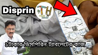 এই ১টাকার ডিসপিরিন ট্যাবলেট মরা গাছ বাঁচিয়ে তুলতে জড়ি মেলা ভার