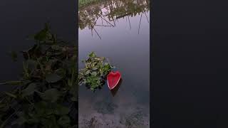 এমন ভিডিও ভাইরাল কেন হবেনা তাহলে কোন ভিডিও হবে?? । #ভাইরাল #shortsviral।