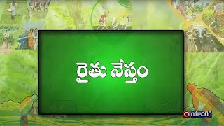 రైతునేస్తం | మిరప నారు యాజమాన్యం లో మెలకువలు | #Raithunestham - Phone in Live