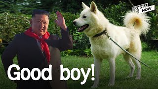 Pungsan, the dog North Korean leaders treasured