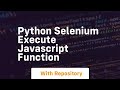 python selenium execute javascript function