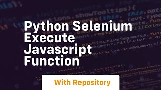 python selenium execute javascript function