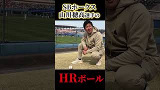 古巣西武からHRを打った山川穂高選手のホームランボールをトクサン拾う#トクサンtv #shorts #福岡ソフトバンクホークス #山川穂高