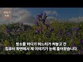 며느리에게 뺨 맞은 엄마보자 폭발한 아들 분노의 반격 사연 오디오북 오디오 드라마 인생이야기 부모자식 노후사연 노년영상