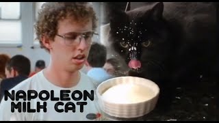 Funny Napoleon Dynamite Milk  Cat - I See You Are Drinking 1% Is that cause you think you're fat?
