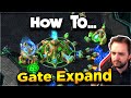 StarCraft 2 - The GATE EXPAND ! (Nexus/Cyber & Cyber/Nexus Guide)