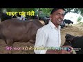 bhadra mandi bhadra mela rajasthan mela murra beso ki mandi haryana buffalow cow mandi