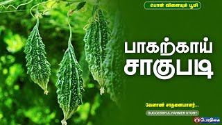 பாகற்காய் சாகுபடி  | Successful Farmer Story