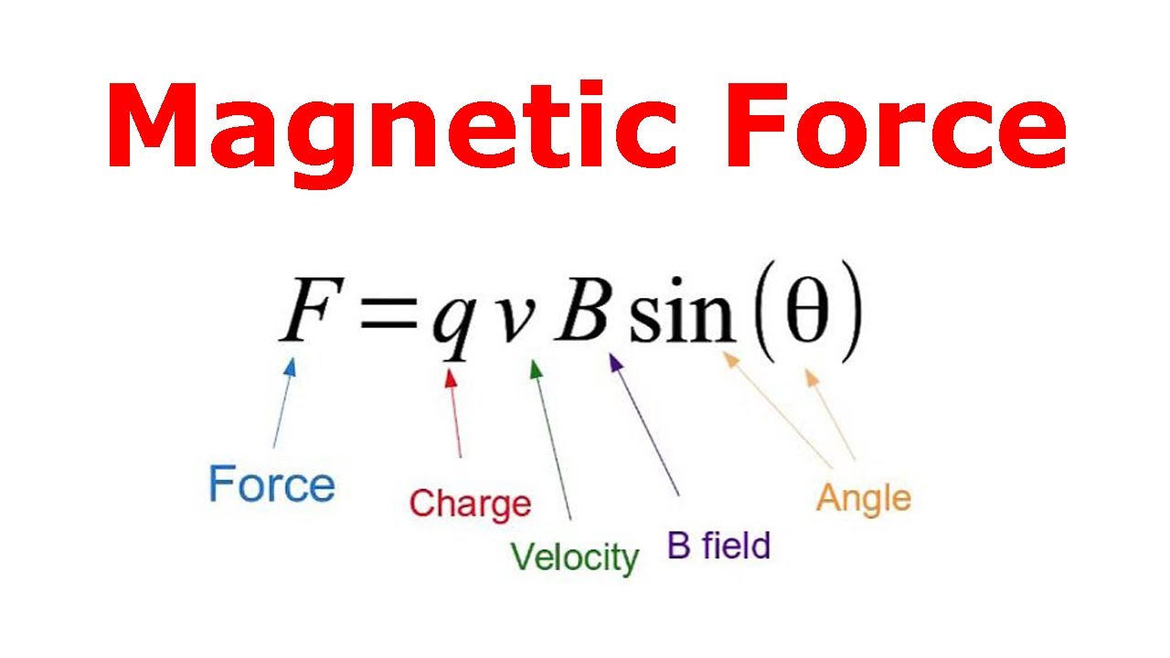 Electromagnetic Force Calculator