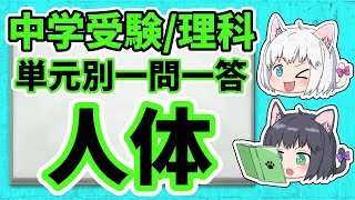 【中学受験/理科】単元別・一問一答・人体【ゆっくり解説】