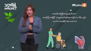 ရှောက်ရွက်ရဲ့အကျိုးကျေးဇူးများ