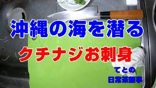 沖縄の海を潜る　クチナジお刺身