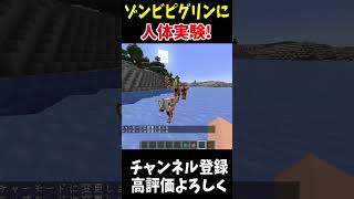 ゾンビピグリンに人体実験した結果!!#Minecraft #アップデート #裏技