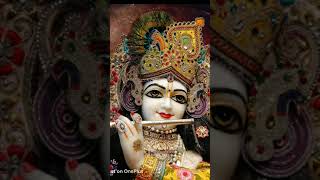 Jay shree Krishna Gobind Hare murari he nath narayan vasudeva radhe radhe 🙏🏻🙏🏻🌹🌹