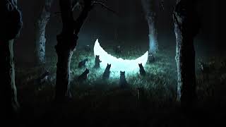 Gathering of the Moon Cats | ASMR Soundscape