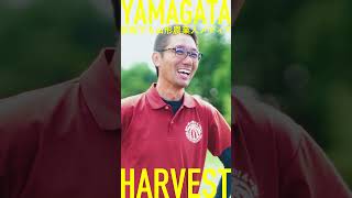 YAMAGATA HARVEST − 挑戦する山形農業人メディア –【株式会社アグリードまるひろ篇】