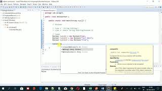 Java.Lang Package- Boolean class-toString()