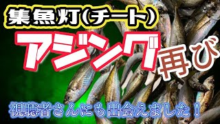 【チート】集魚灯アジング再び…！【アジング】エラ切りマスター現る！　しるすた:56