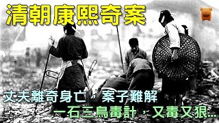 清朝康熙奇案，丈夫離奇身亡，案子難解，一石三鳥毒計，又毒又狠...