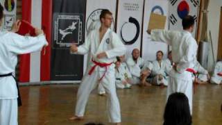 TKD grafenstein Bruchtest