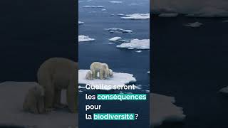 Changement climatique, glaciers et biodiversité : on vous explique le lien !