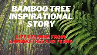INSPIRATIONAL STORY OF BAMBOO TREE | NEVER GIVE UP | LIFE LESSONS FROM BAMBOO TREE  & FERN
