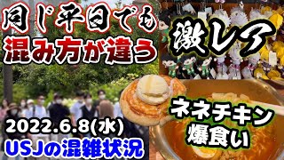 【USJ快適だけど...】ゲスト層によって全然違うパーク‼︎即完売したあのグッズが復活‼︎ネネチキンで韓国料理爆食い♪2022年6月8日水曜日の様子、ユニバーサルスタジオジャパンの混雑状況