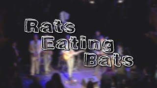 Smetnaki - Rats Eating Bats