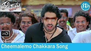 Cheemalemo Chakkara Song - Kalidasu Movie Songs - Sushanth - Tamanna - Chakri Songs