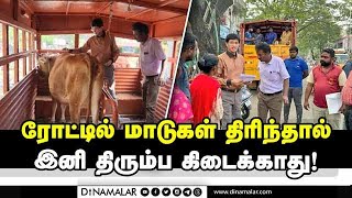 மாடு முட்டி பலி அதிகரிப்பால் சென்னை மாநகரட்சி கண்டிப்பு GCC| Chennai Corporation| Commissioner Radha