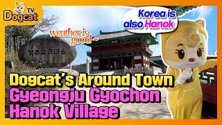 [Korea Trip]Beautiful Gyeongju Gyochon Hanok Village in Korea [DogcatTV]