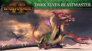 Total War: WARHAMMER 2 - Dark Elves Beastmaster Briefing