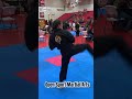 Open Sport Martial Arts Forms and Point Fighting #karate