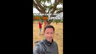 Visit to a Cork Farm in Alentejo - Portugal