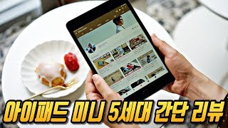 애플 아이패드 미니 5세대 간단 리뷰(개봉기, 간단 사용후기)