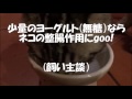 ヨーグルトが大好きなネコにゃん　a cat yogurt is a favorite.