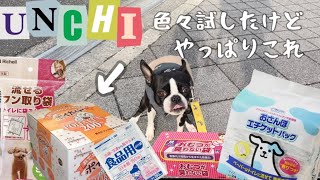 我が家のうんち処理は袋はこれだ！！ボストンテリアのぼんちゃんの飼い主が選ぶベストバイうんち袋のご紹介✨